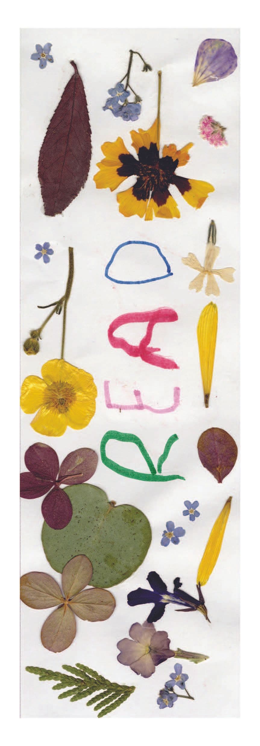 Valentina's bookmark