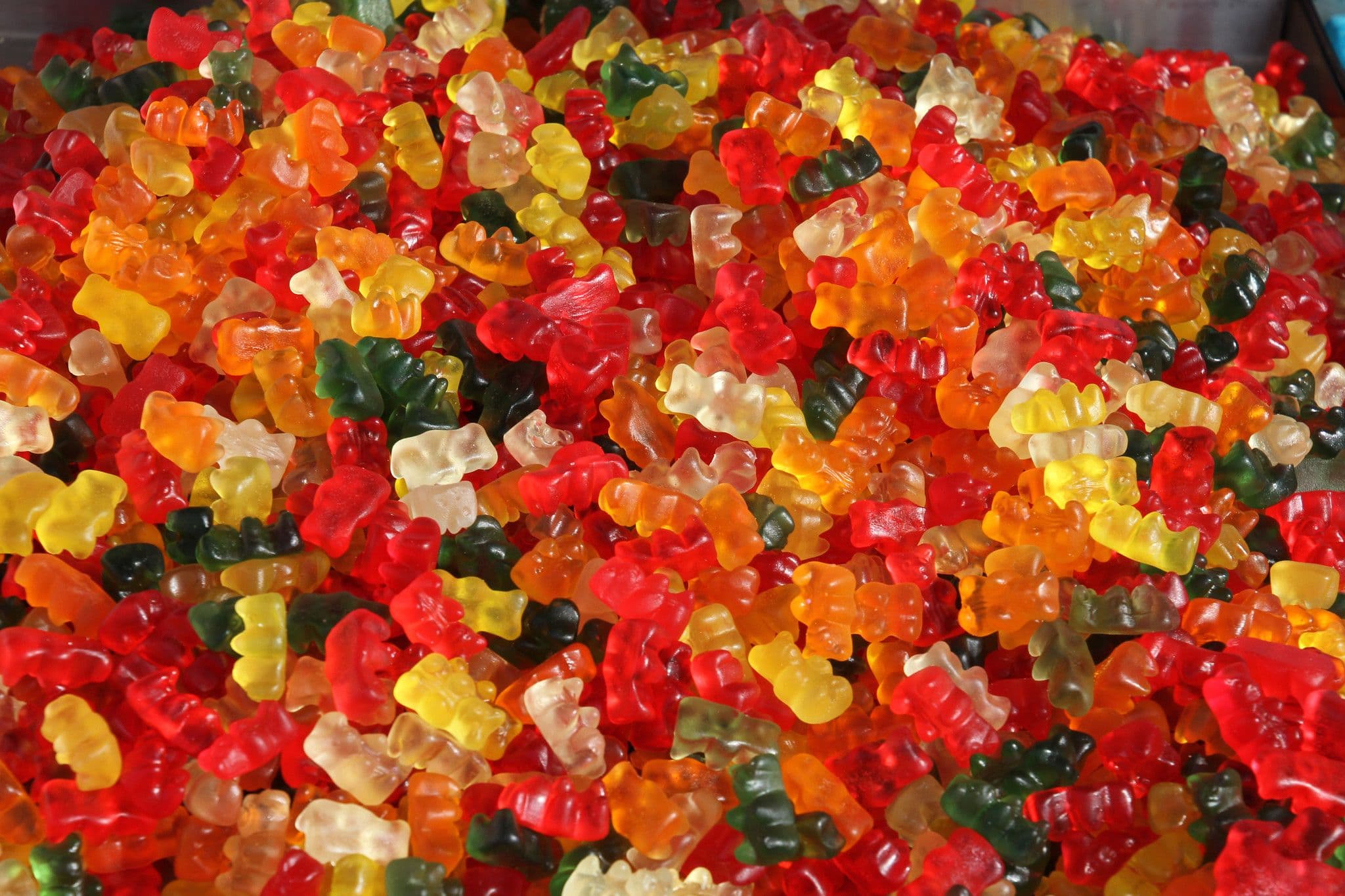 Why does a gummy bear grow bigger in the water?